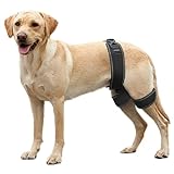CHAMIN/RISURRY Dog Hip Orthotics Brace, Dog Hip Dysplasia Brace Harness, Support for Hip Dysplasia, Luxating Patella, Prevent Hip Joint Diseases and Assisted orthopedics, et(Extra Large)