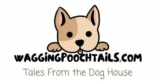 Wagging Pooch Tails Logo